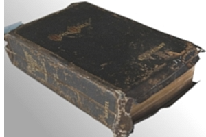 Elvis' Bible